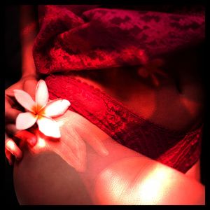 免费EDM小蛇导航
