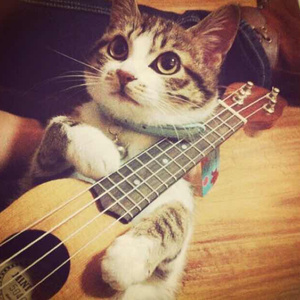 免费EDM小蛇导航
